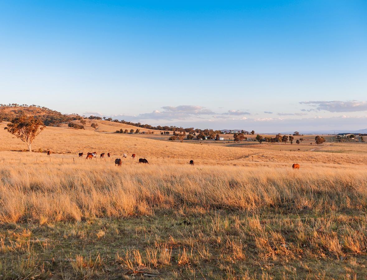 Strathearn Park Lodge Скоун Екстер'єр фото